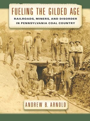 Fueling the Gilded Age - ebook